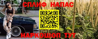 мдпв Гусев