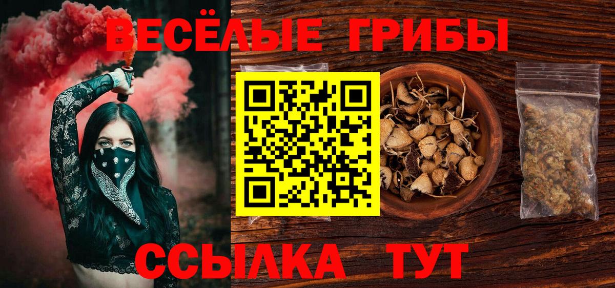 купить наркоту  Вход с VPN  Балашов  Галлюциногенные грибы Psilocybine cubensis 